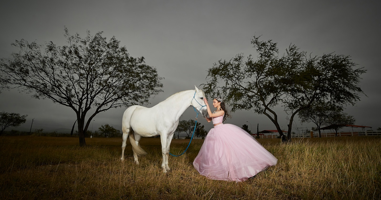 girl holding white horse head